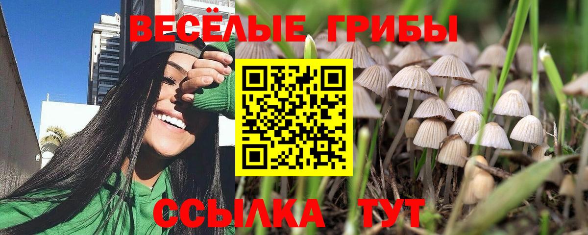 Павлово  Галлюциногенные грибы мухоморы  Вход с VPN  Галлюциногенные грибы Psilocybine cubensis 
